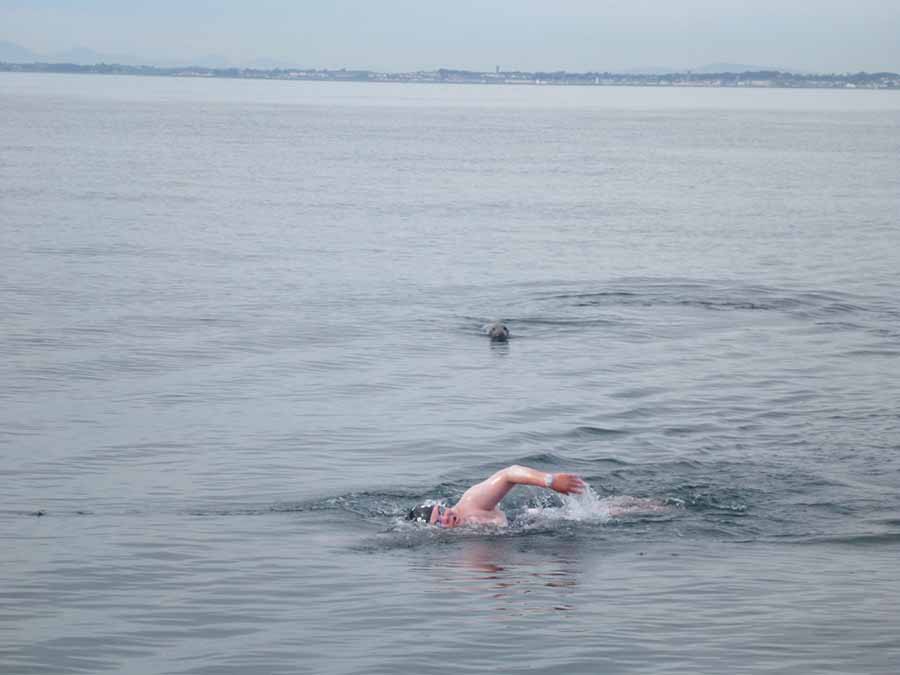 elaine howley swims the north channel
