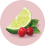 Cranberry and lime fruit icons