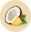 Coconut and pineapple fruit icons