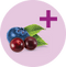 Acai blueberry icons with a plus symbol
